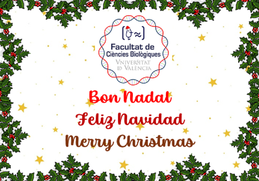Bon Nadal i pròsper any nou 2026